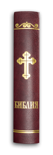 Библия, синодален превод (среден формат, бордо)