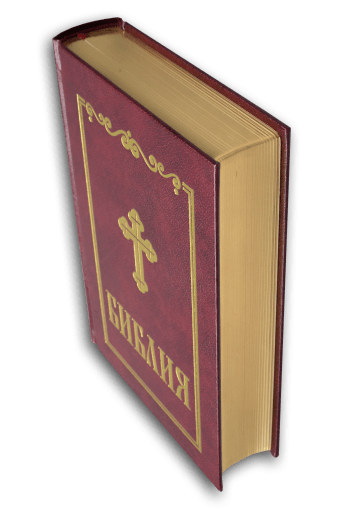 Библия, синодален превод (среден формат, бордо)